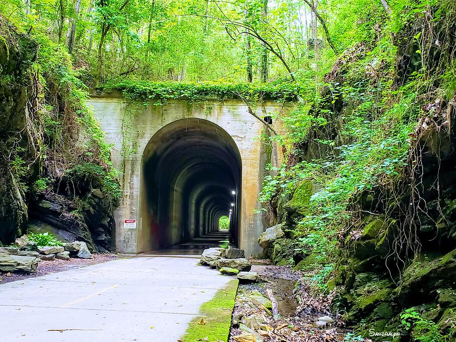 Welcoming Tunnel Photograph by Sandra Kelly - Pixels