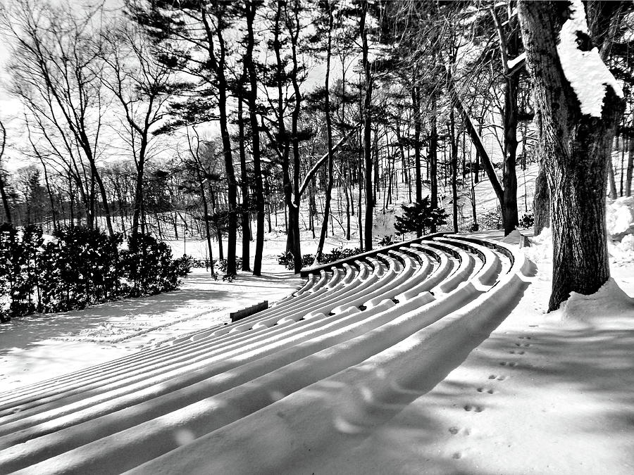 Wellesley College Hay Outdoor Amphitheater in Winter Photograph by Lyuba Filatova