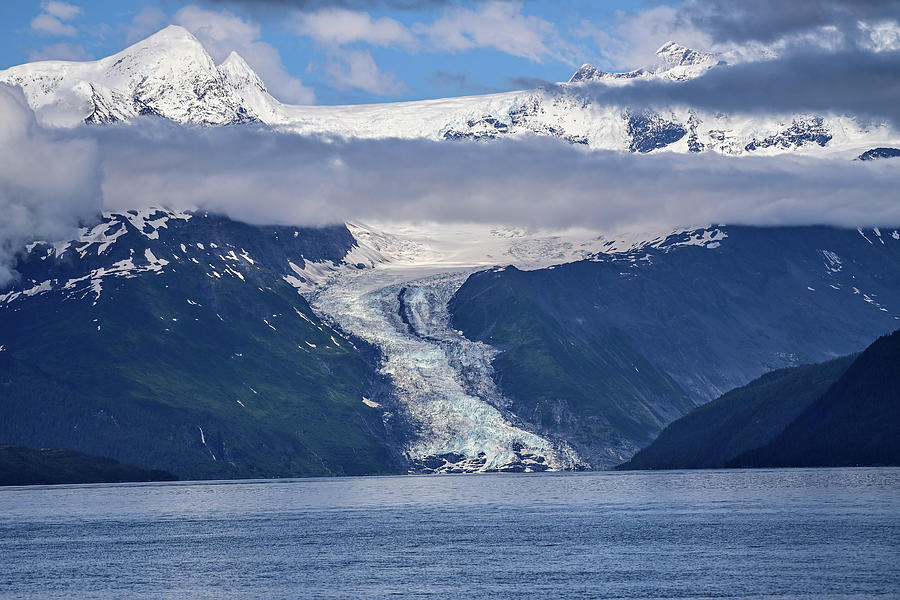 Wellesley Glacier -  College Fjord Photograph by Amazing Action Photo Video