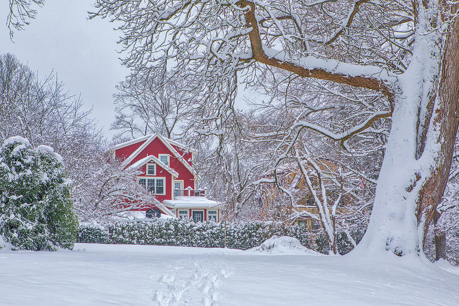 Wellesley Houses and Homes Winter Wonderland  Photograph by Juergen Roth