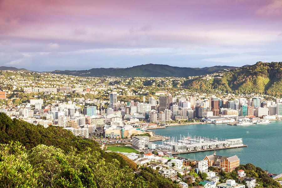 Wellington city center and harbour at sunrise Photograph by Matteo Colombo