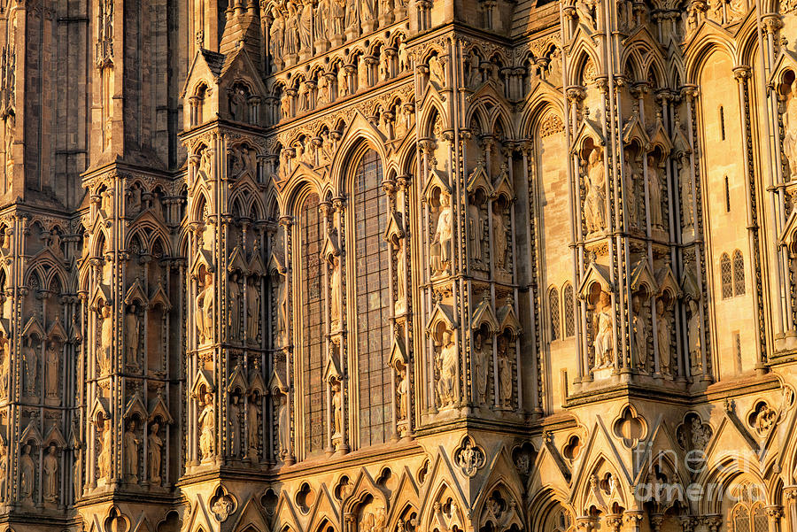 Wells Cathedral Architecture in the Golden Sunlight Photograph by Tim Gainey
