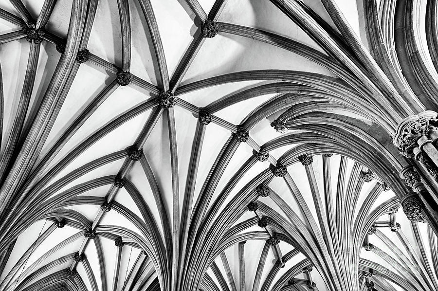 Wells Cathedral Chapter House Vaulted Ceiling Monochrome Photograph by Tim Gainey