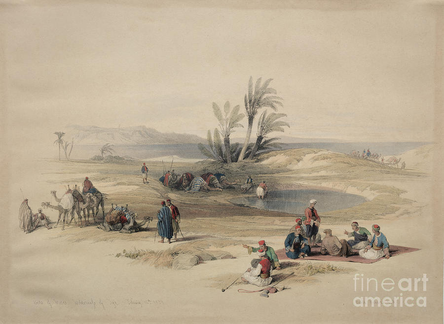 Wells of Moses, Wilderness of Tyh q1 Painting by Historic illustrations
