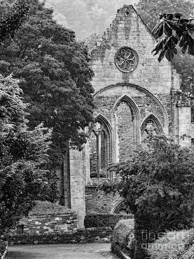Welsh Abbey Photograph by Tom Watkins PVminer pixs