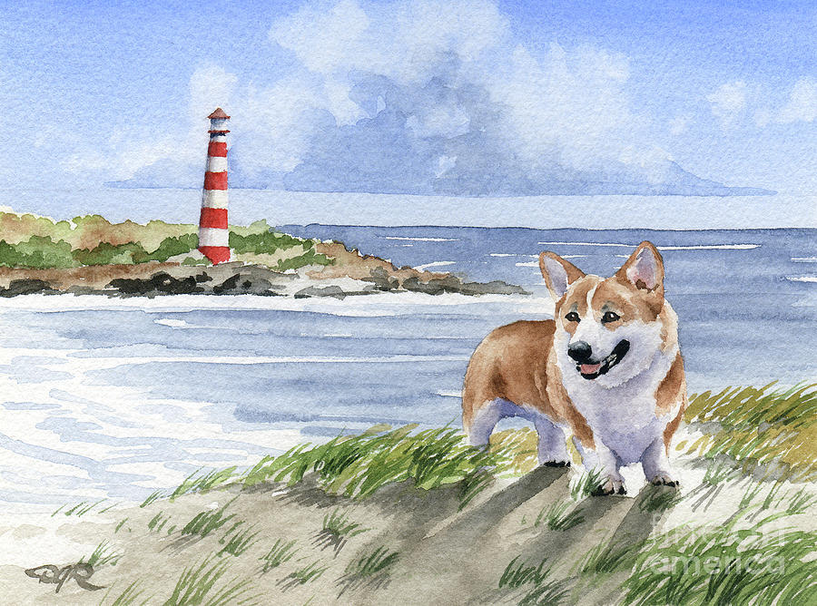 Dog Painting - Welsh Corgi at the Beach by David Rogers