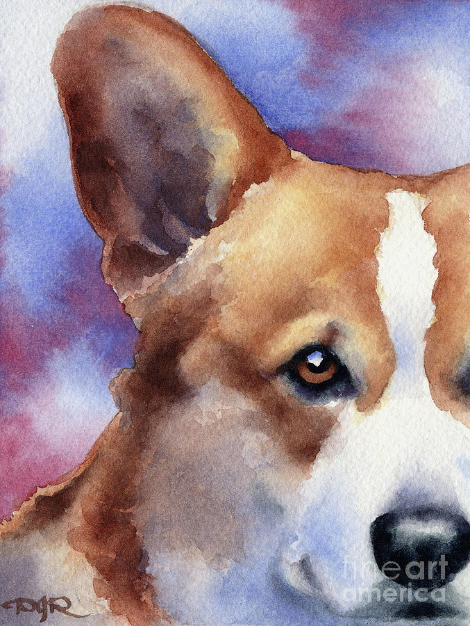 Dog Painting - Welsh Corgi Watercolor Dog Art by David Rogers