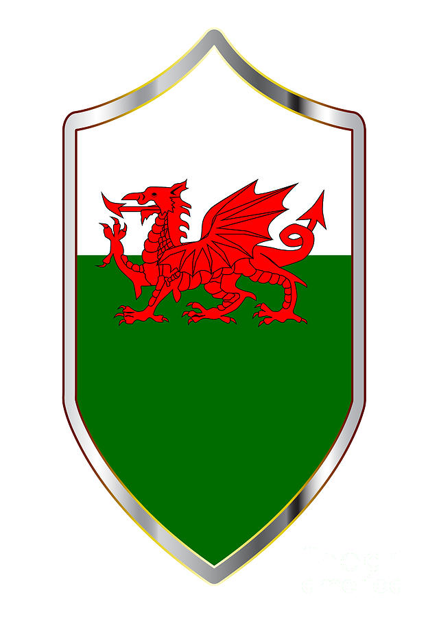 Flag Digital Art - Welsh Flag On A Crusader Shield by Bigalbaloo Stock