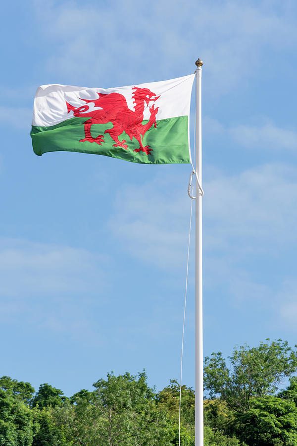 Welsh flag portrait Photograph by Steev Stamford