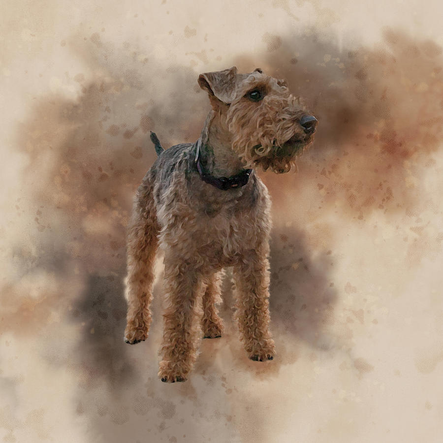 Welsh Terrier Digital Art by Catherine Avilez