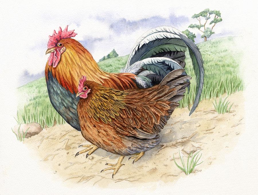Welsummer cockerel and hen Painting by Lynne Henderson