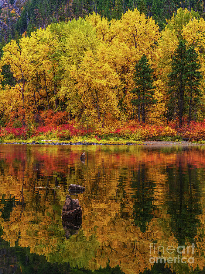 Wenatchee River Fall Colors Symmetrical Photograph by Mike Reid - Fine ...