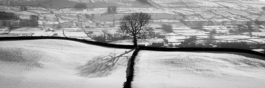 Wensleydale fields in winter in black and white yorkshire dales Photograph by Sonny Ryse