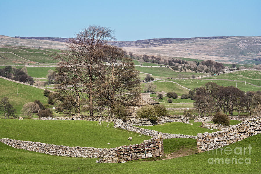 Wensleydale Photograph by Tom Holmes Photography