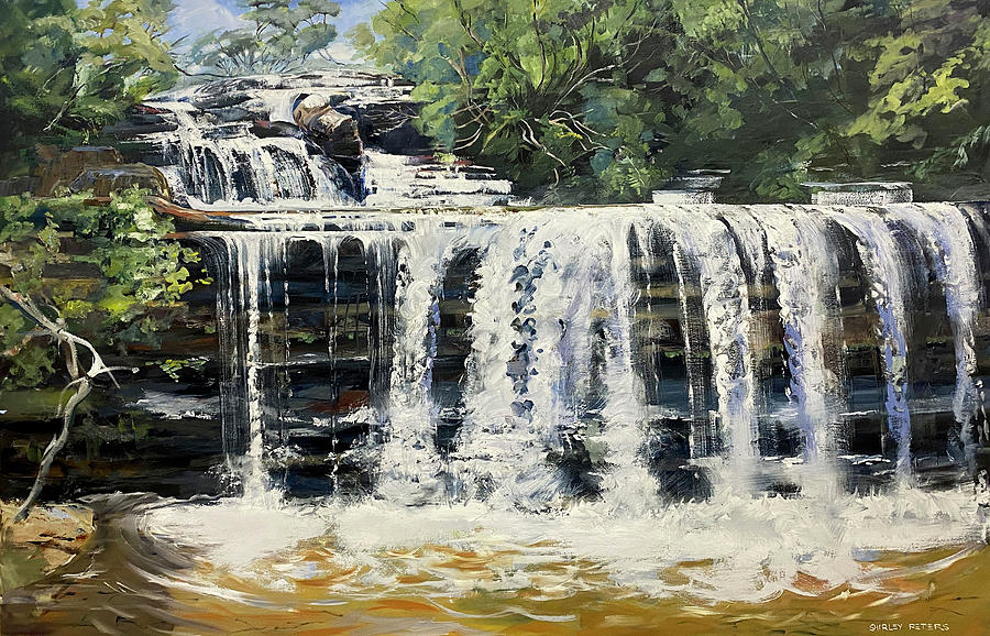 Wentworth Falls - at the top Painting by Shirley Peters