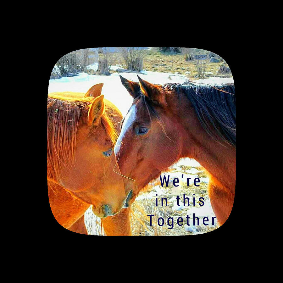 Were in this together 1 Photograph by Deanna Culver