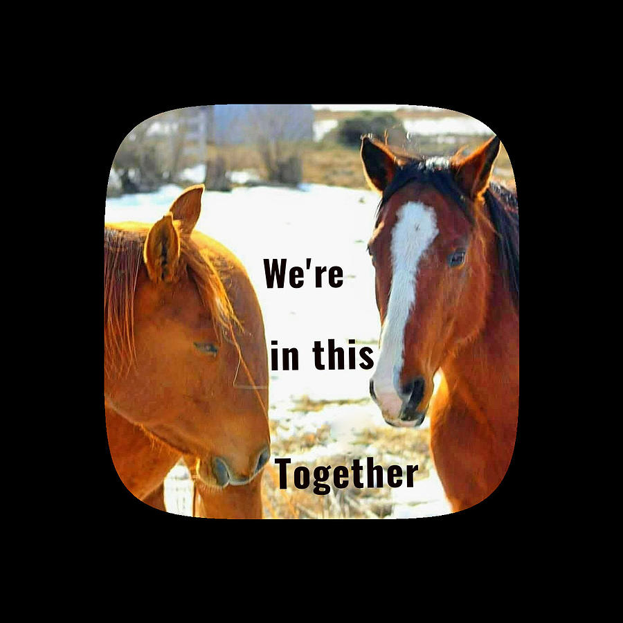 Were in this together 2 Photograph by Deanna Culver