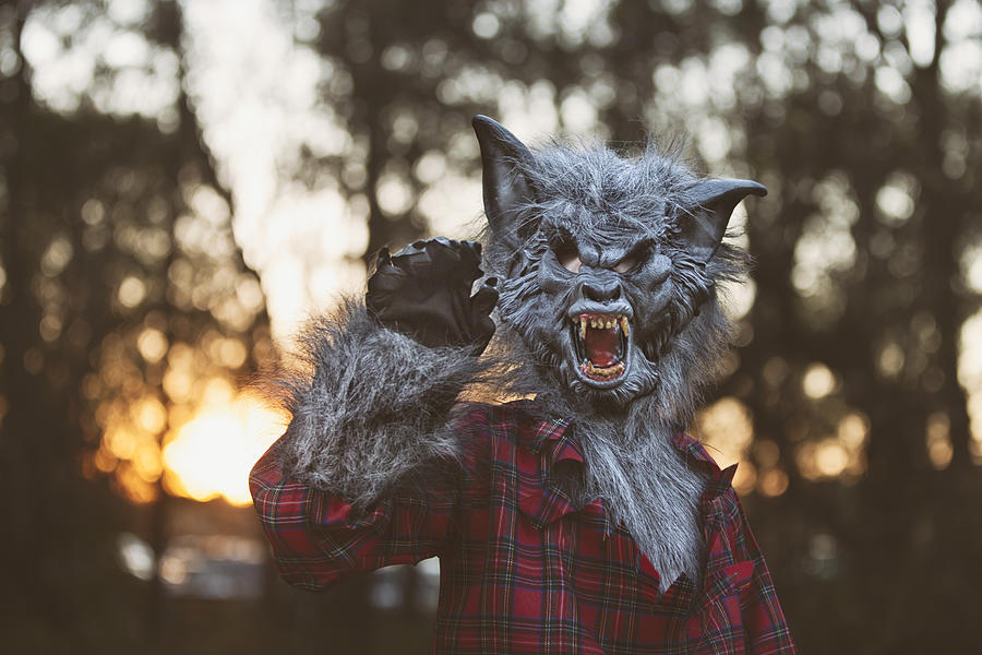 Werewolf at sunset Photograph by Rebecca Nelson Werewolf at sunset Photograph by Rebecca Nelson