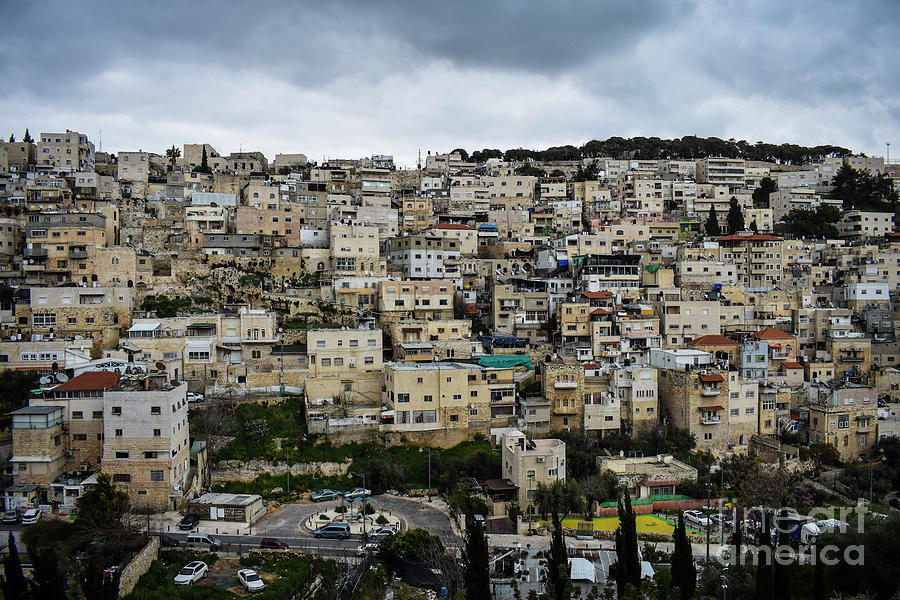 West Bank Wall Photograph by Sarah Blake - Fine Art America