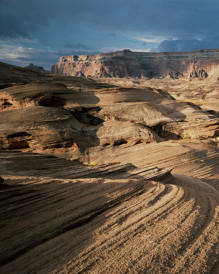 Desert Photograph - West Canyon vertical by Cliff Wassmann