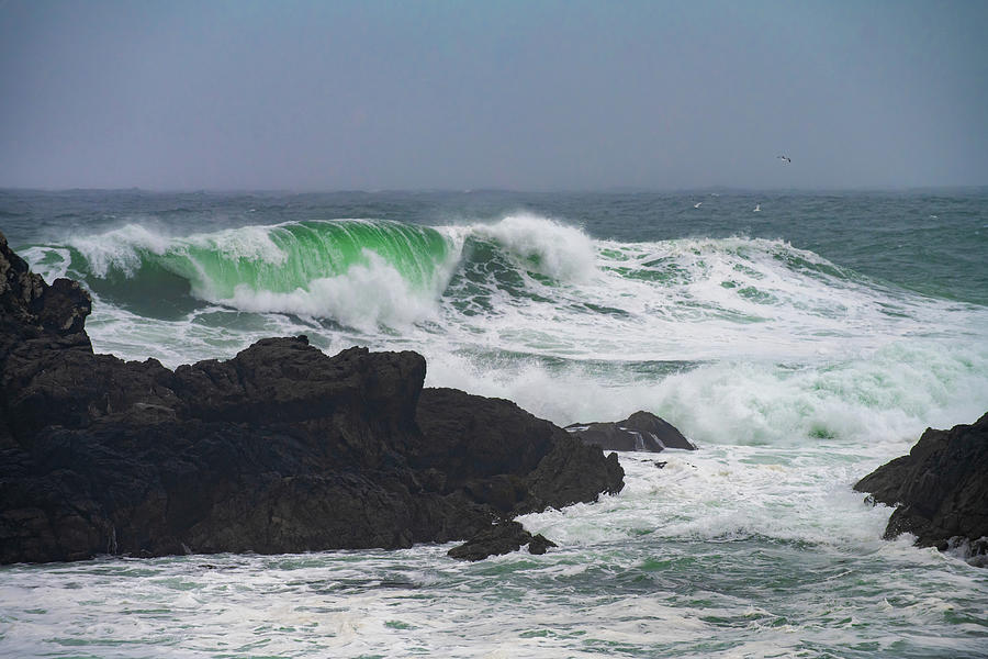 West Coast Waves Photograph by Bill Cubitt