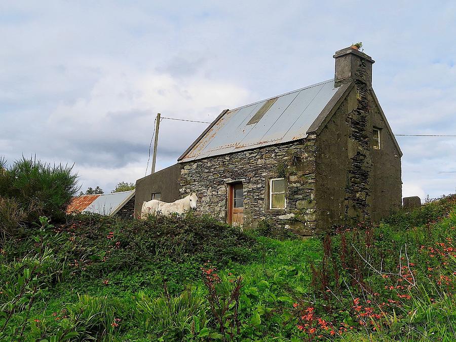West Cork Irish Stone Cottage Photograph by Melinda Saminski