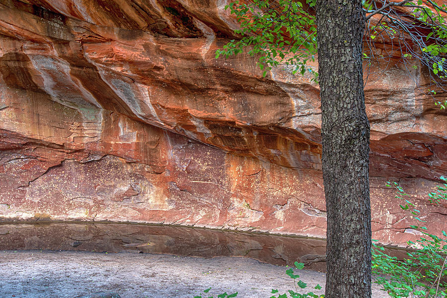 Abstract Photograph - West Fork Canyon abstract by Dave Dilli Abstract Photograph - West Fork Canyon abstract by Dave Dilli