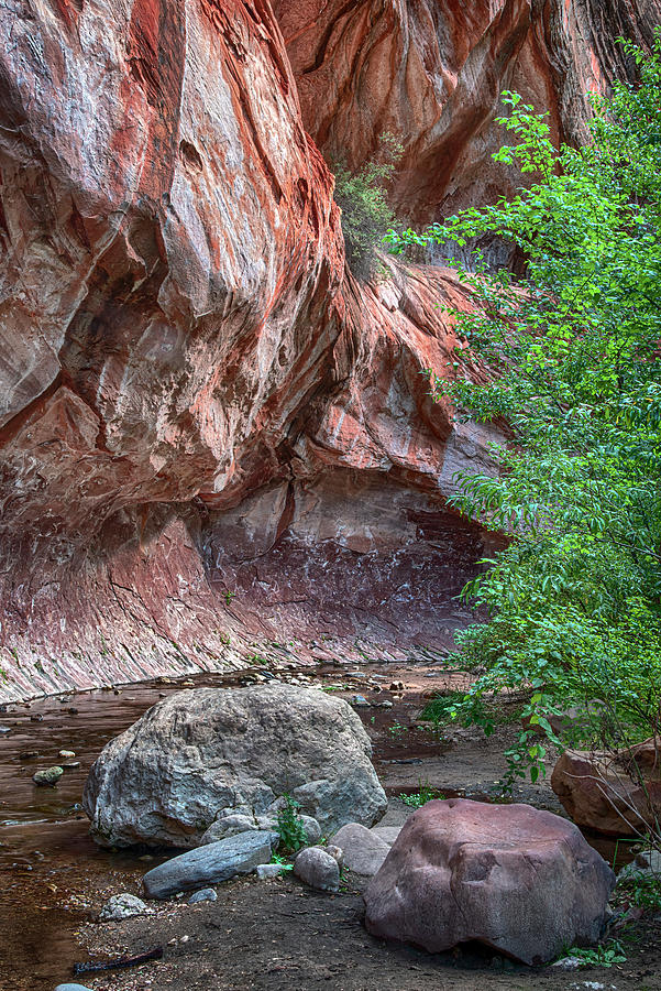 West Fork of Oak Creek Canyon near Sedona Arizona Photograph by Dave Dilli
