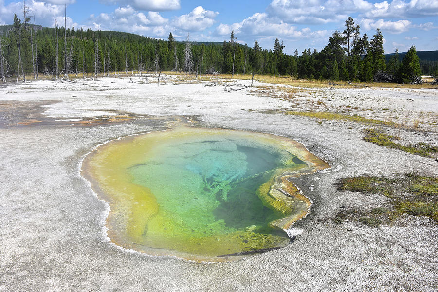 West Geyser, Biscuit Basin, Yellowstone National Park Photograph by ...