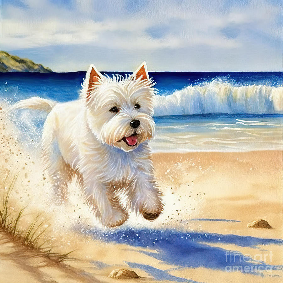Summer Painting - West Highland White running at beach by N Akkash