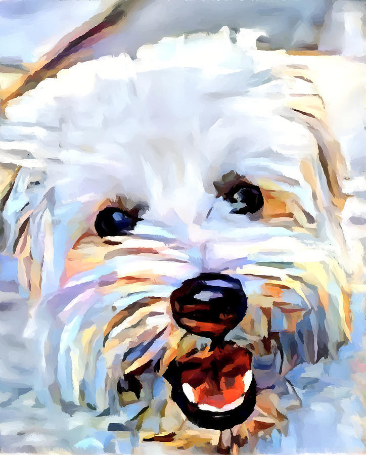 West Highland White Terrier 6 Painting