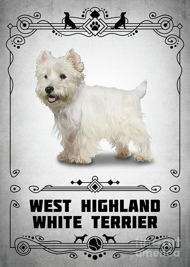 Animal Digital Art - West Highland White Terrier by Bo Kev