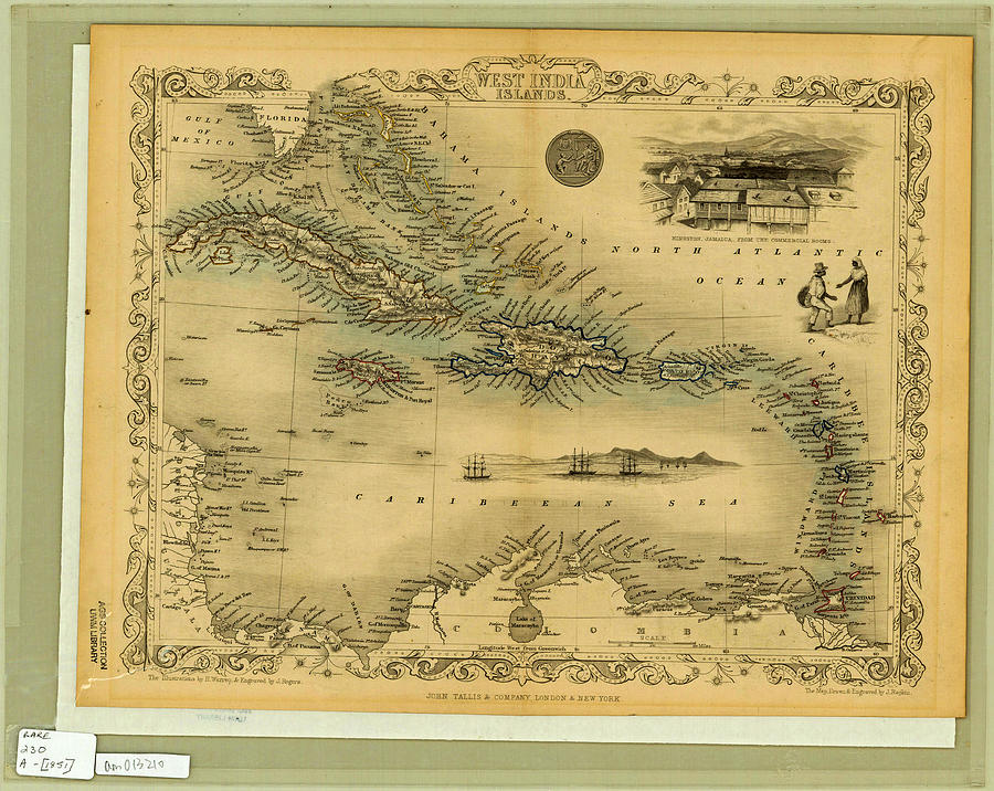 West India Islands the illustrations by H. Warren  engraved by J. Rogers  the map drawn  engraved Painting by MotionAge Designs