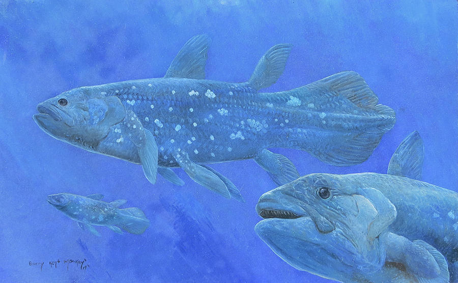 West Indian Ocean Coelacanth Painting by Barry Kent MacKay