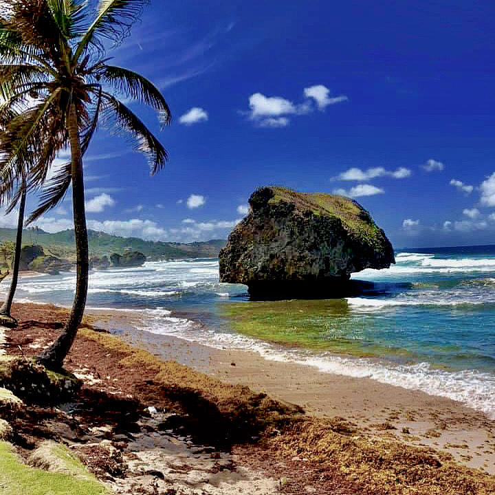 West Indies Breeze Photograph by Devin Wilson