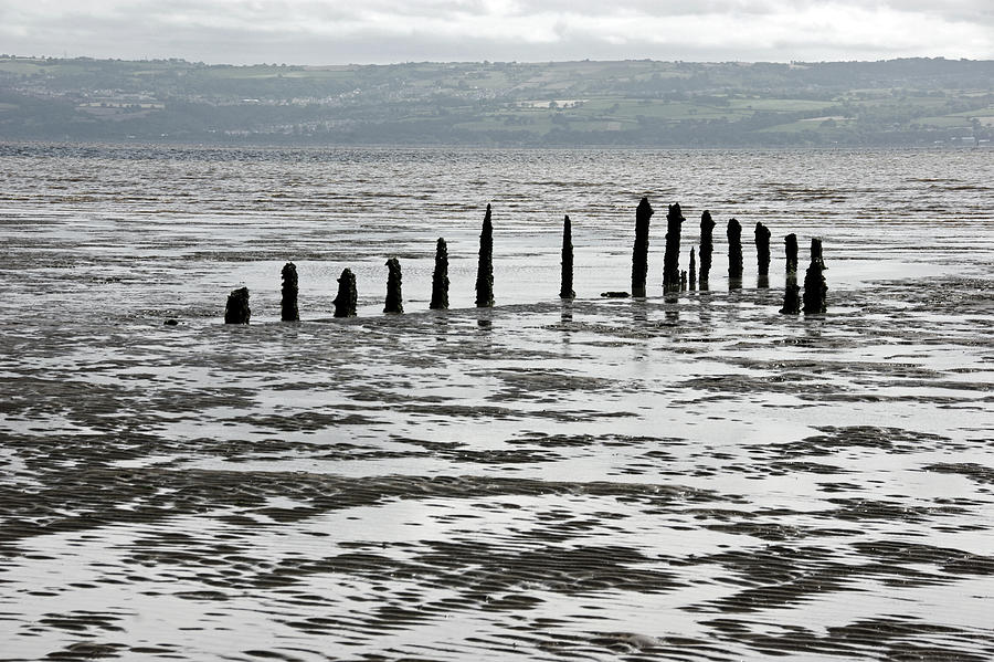 WEST KIRBY. Stakes on The Shoreline. Photograph by Lachlan Main