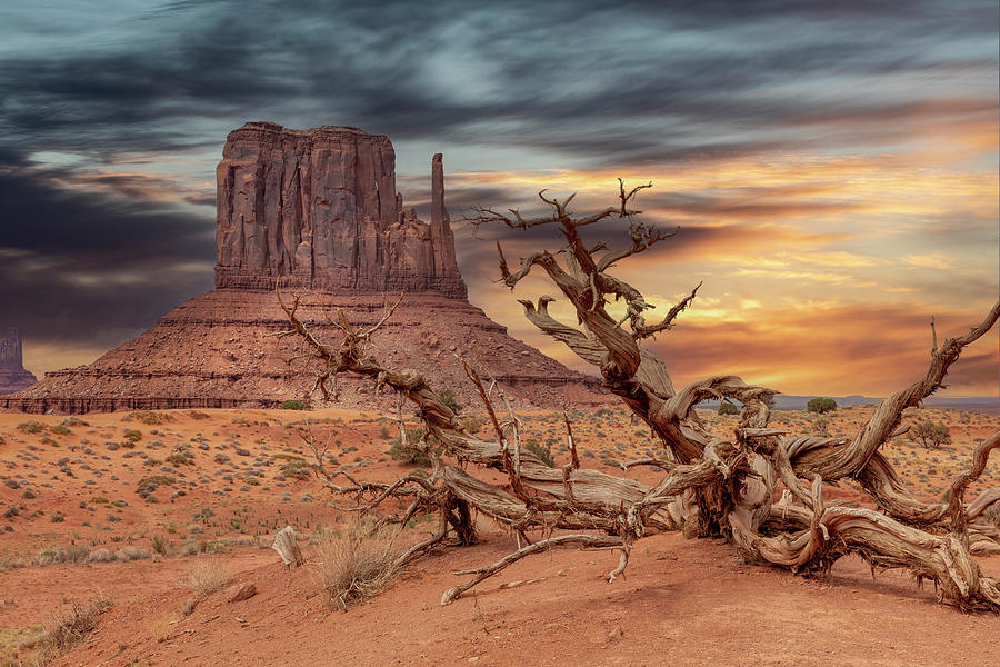 West Mitten Butte - Monument Valley Photograph by Stephen Stookey