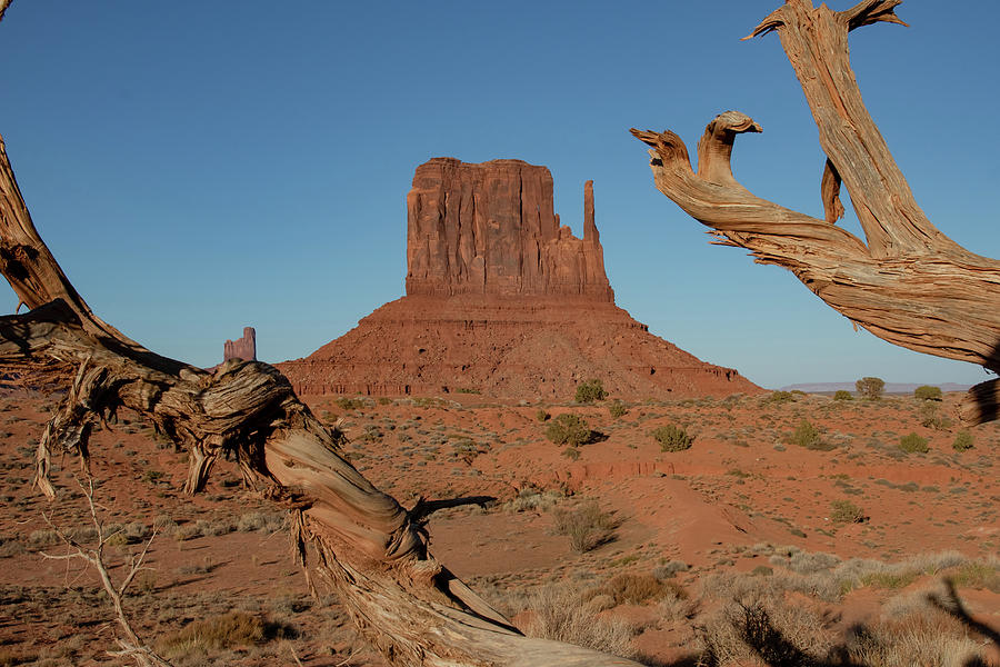 West Mitten of Monument Valley Photograph by Mindy Musick King