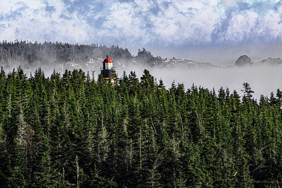 West Quoddy Head Lighthouse Above Tree Line Photograph by Marty Saccone