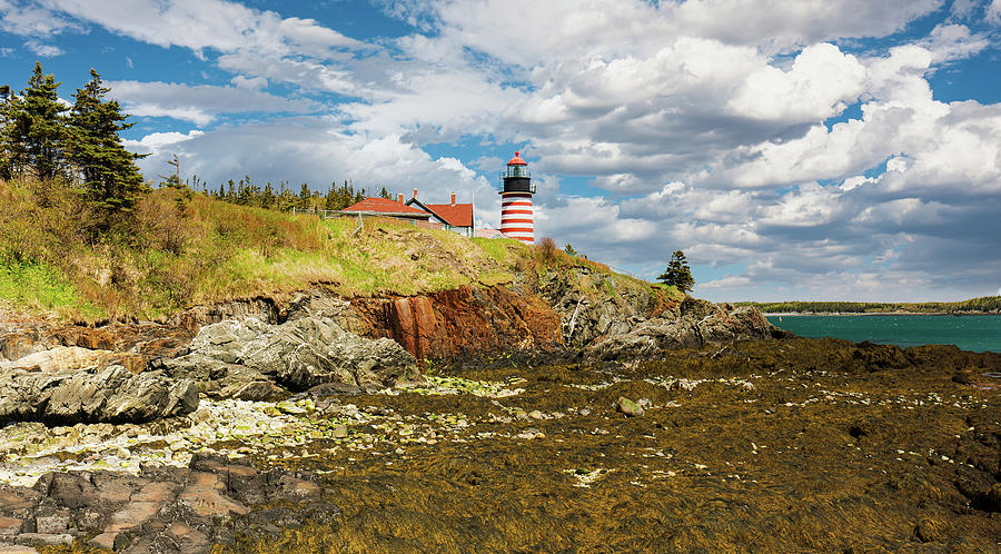 West Quoddy Head Lighthouse Photograph by Ron Long Ltd Photography