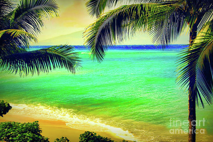 West Side Beach Palms Large Format Photograph by Michele Hancock Photography