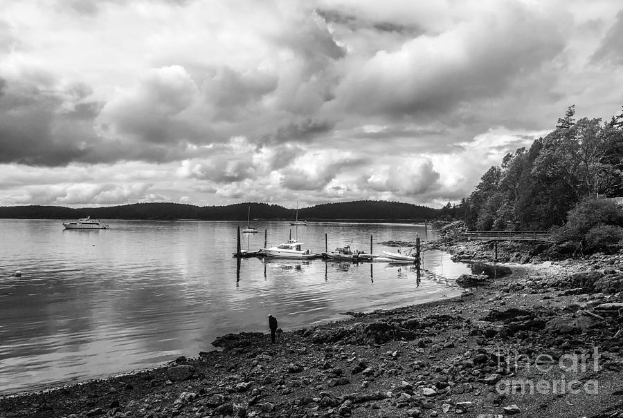 West Sound Moods Photograph by William Wyckoff