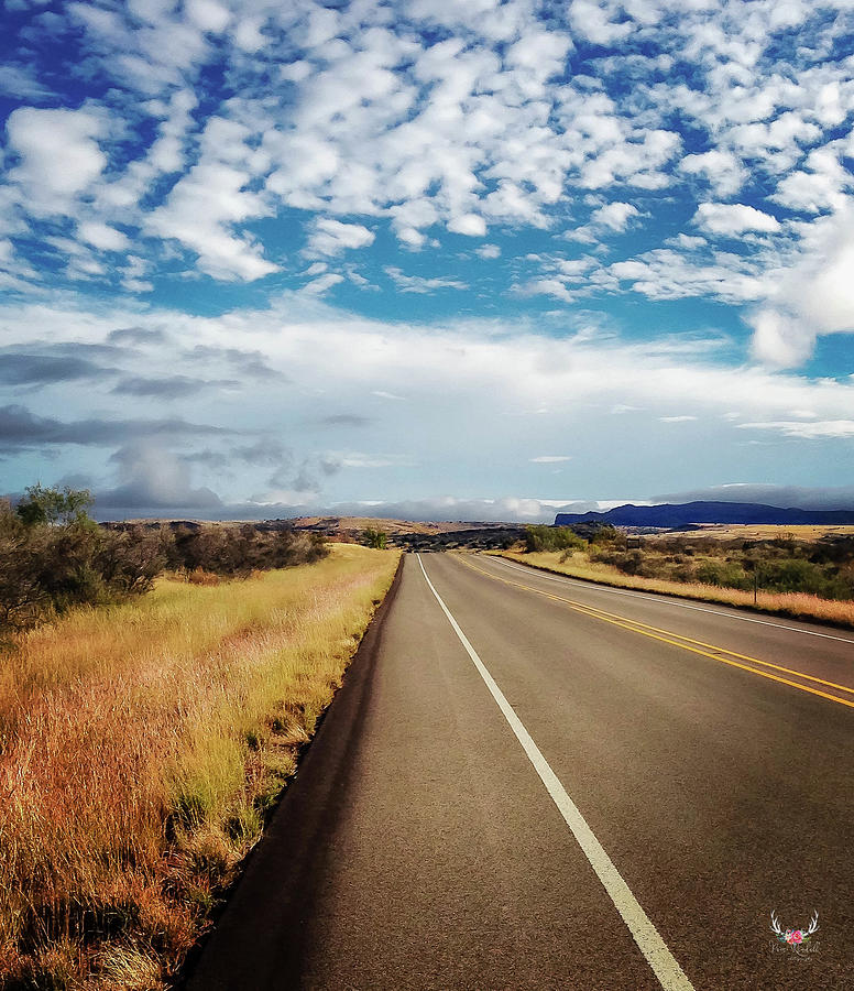West Texas BackRoad Photograph by Pam Rendall