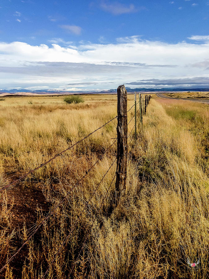 West Texas Fenceline Photograph by Pam Rendall