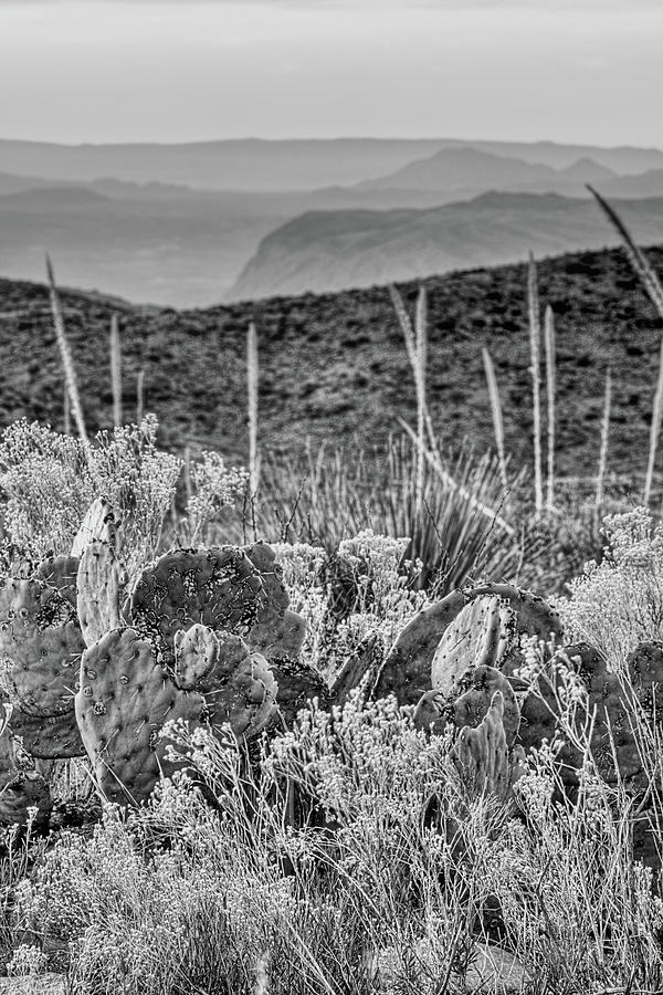 West Texas Grandeur Black and White Photograph by JC Findley