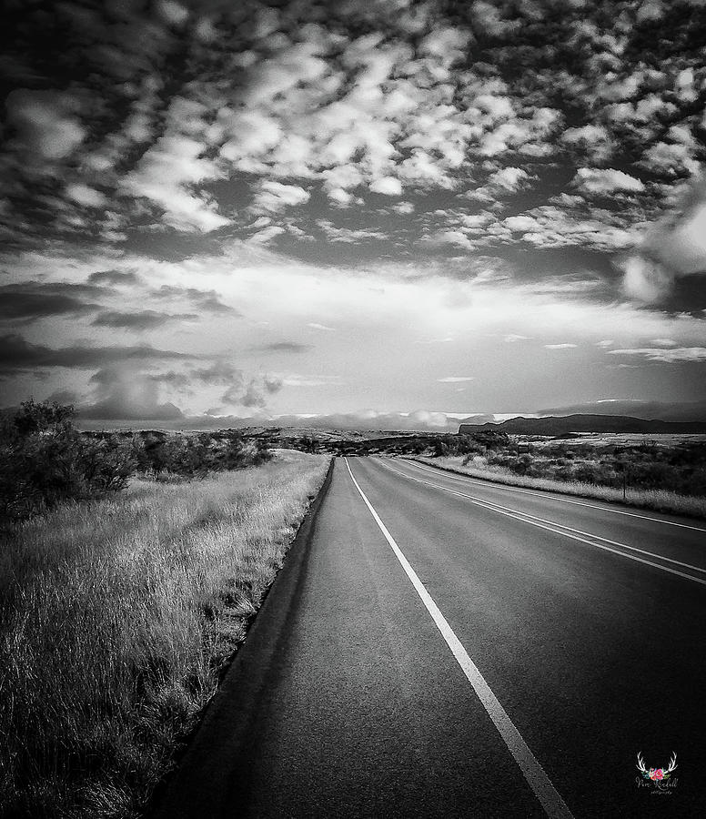 West Texas in BW Photograph by Pam Rendall
