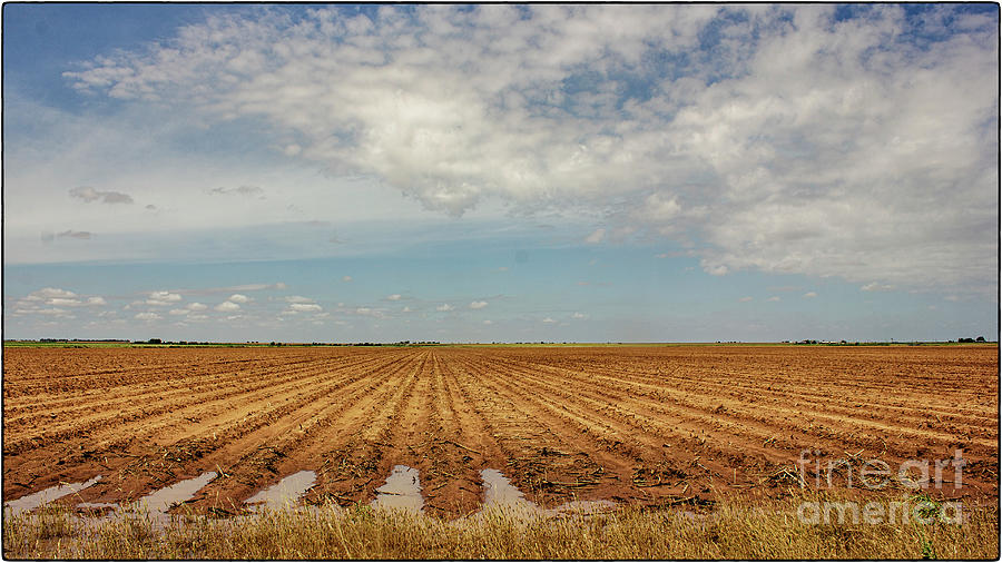 West Texas Photograph - West Texas Irrigated Field by Natural Abstract