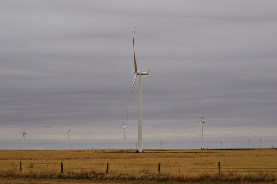 West Texas Wind Farm Photograph by Gaby Ethington