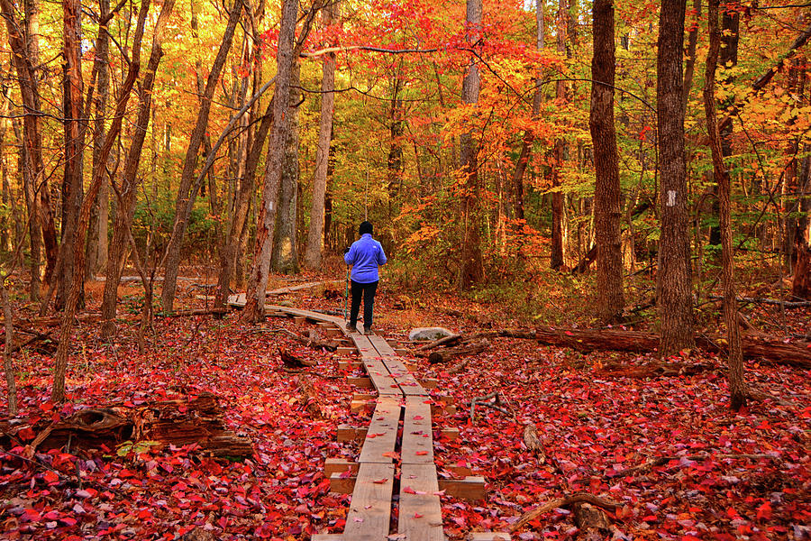West Virginia Appalachian Trail in Autumn Hiker Photograph by Raymond Salani III