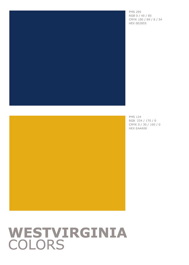 Detroit Tigers Color Codes Hex, RGB, and CMYK - Team Color Codes